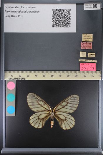 Media type: image;   Entomology 210424